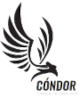 Condor Sports